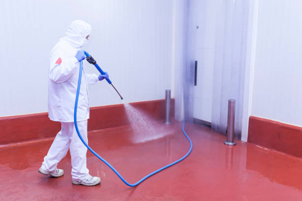 Best Building Exterior Washing  in Lincoln, NE